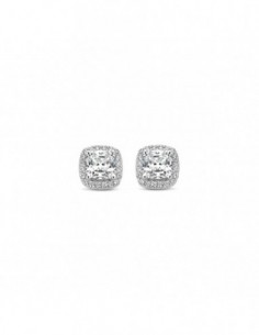 Puces d'oreilles empierrées