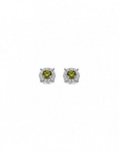 Puces d'oreilles empierrées