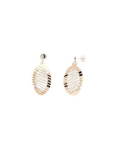 Boucles d'oreilles bicolore