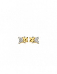 Puces d'oreilles bicolores empierrées