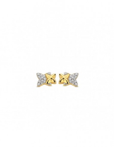 Puces d'oreilles bicolores empierrées