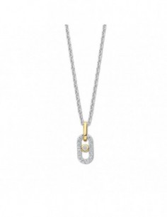 Collier pendentif bicolore argent doré