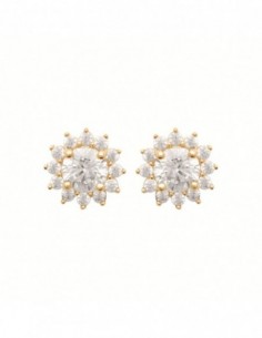 Puces d'oreilles empierrées