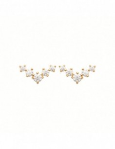 Puces d'oreilles empierrées