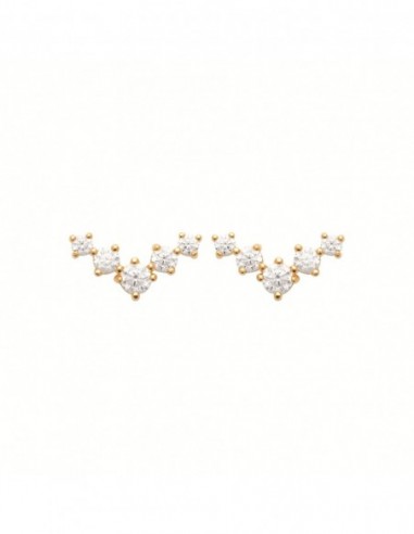 Puces d'oreilles empierrées