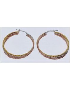 Créoles argent tricolores