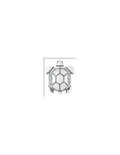 Charm tortue