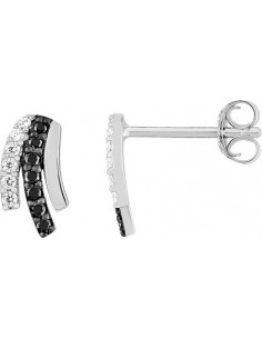 Boucles d'oreilles bicolores