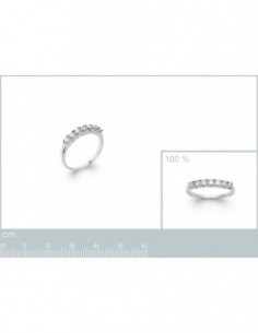 Alliance argent oxydes de zirconium