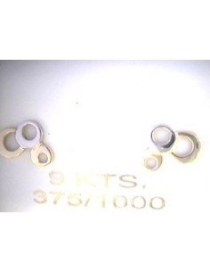 Puces d'oreilles bicolores